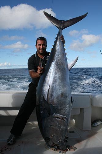 Game Fishing Tours Sydney .